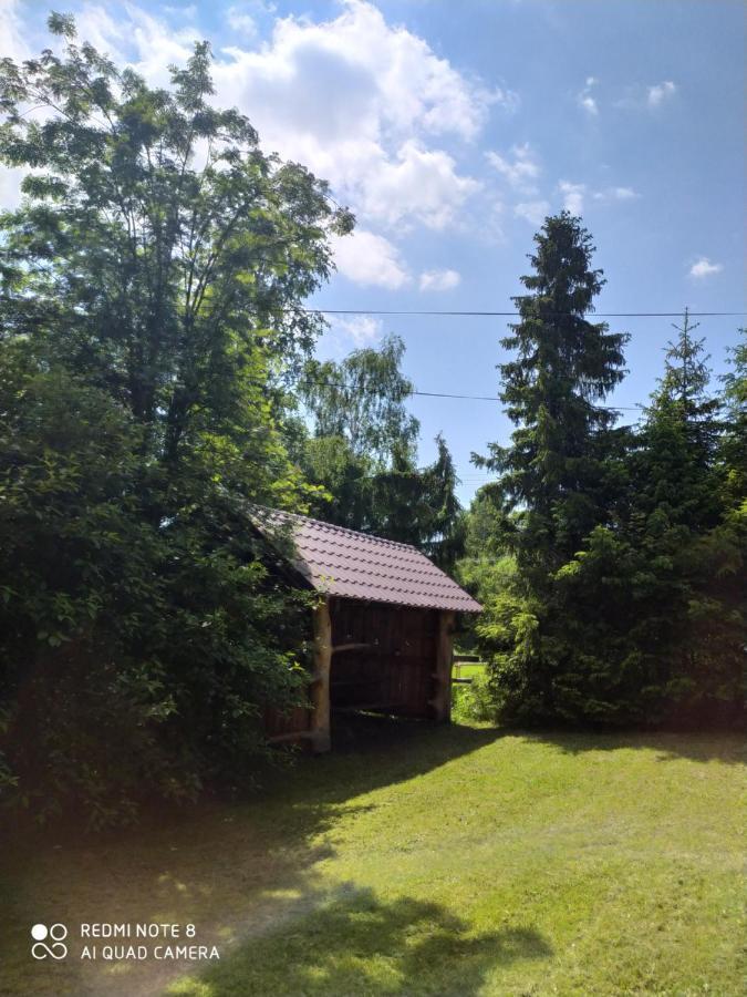 Dusan Štôla Exteriör bild