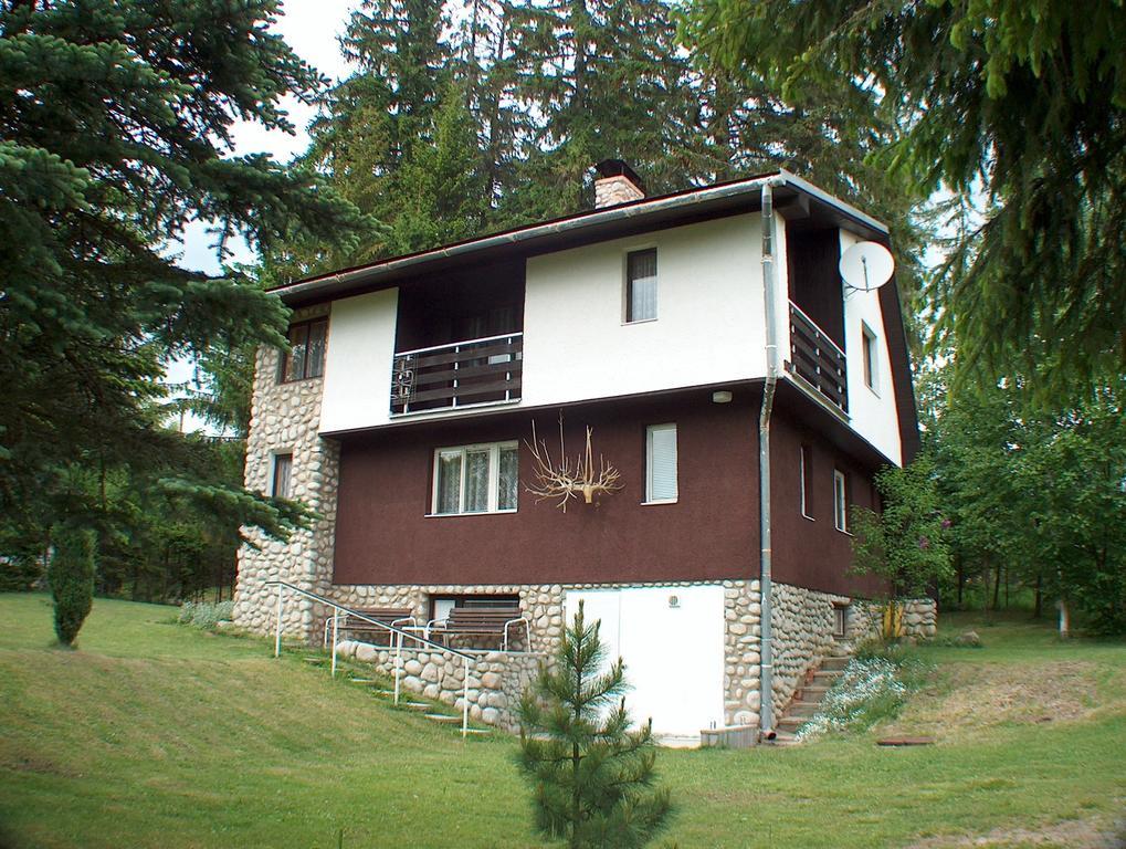 Dusan Štôla Rum bild
