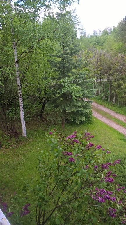 Dusan Štôla Exteriör bild